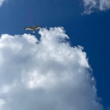 Maison De Bord De Saint-Pierre-d'Oleron