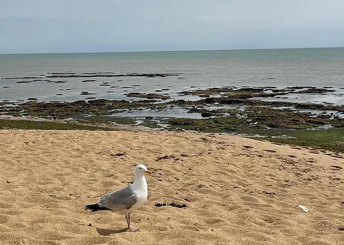 Maison De Bord De Сasa de vacaciones *