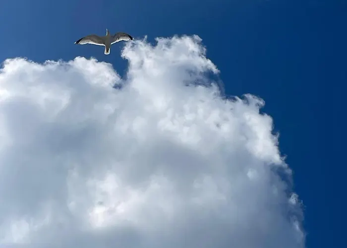 Maison De Bord De Saint-Pierre-d'Oleron