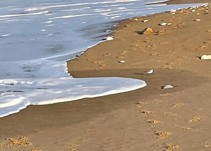 بيت للعطل Maison De Bord De