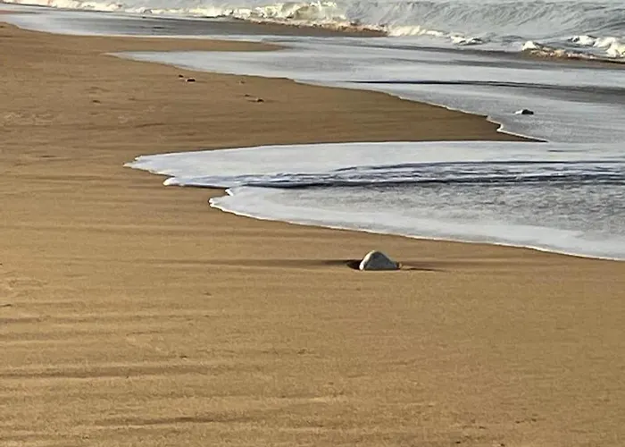 بيت للعطل Maison De Bord De سان بيار دو أوليرون